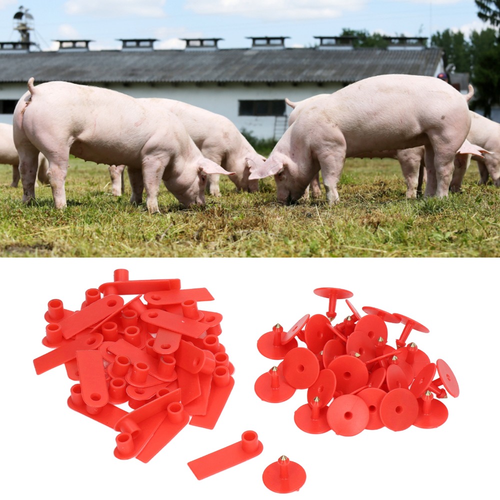 Livestock Ear Tag - 100 adet elle yazılabilir boş hayvancılık