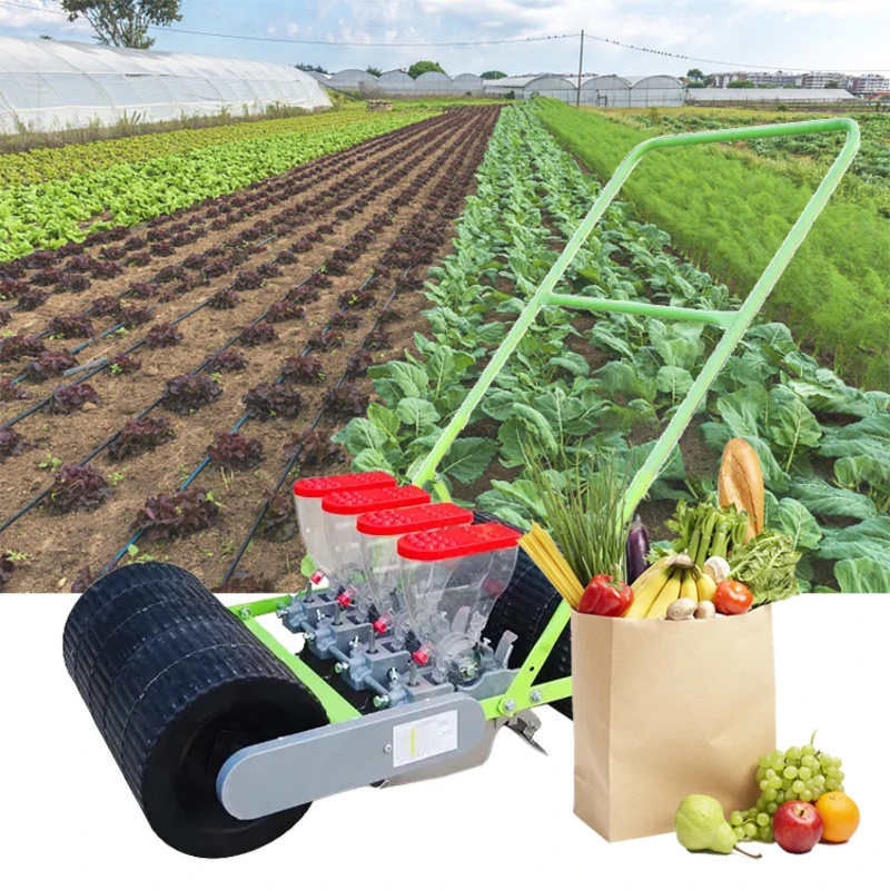 Agriculture Farming Rice - Toptan 18 Sıralı Pirinç, Havuç, Kabak