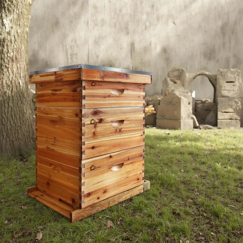 10 Çerçeveli Tam Arı Kovanı Se - Beehive Frame Wax incelemesi ve fiyatı