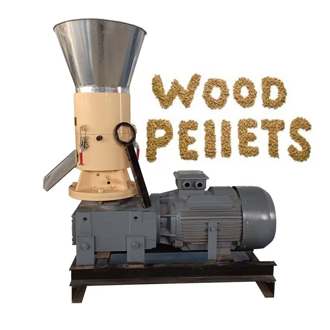 Küçük Talaş Samanı Odun Biyokü - Wood Pellet Making Machine incelemesi ve fiyatı