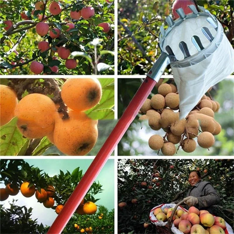Çiftlik Meyve Toplayıcı Bahçe  - Farming Tools For Agriculture incelemesi ve fiyatı