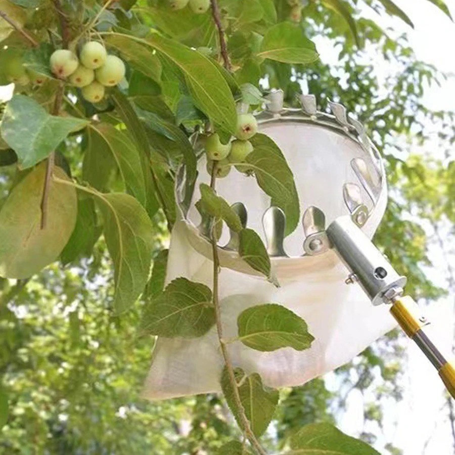 Profesyonel meyve toplama alet - Farming Tools For Agriculture incelemesi ve fiyatı
