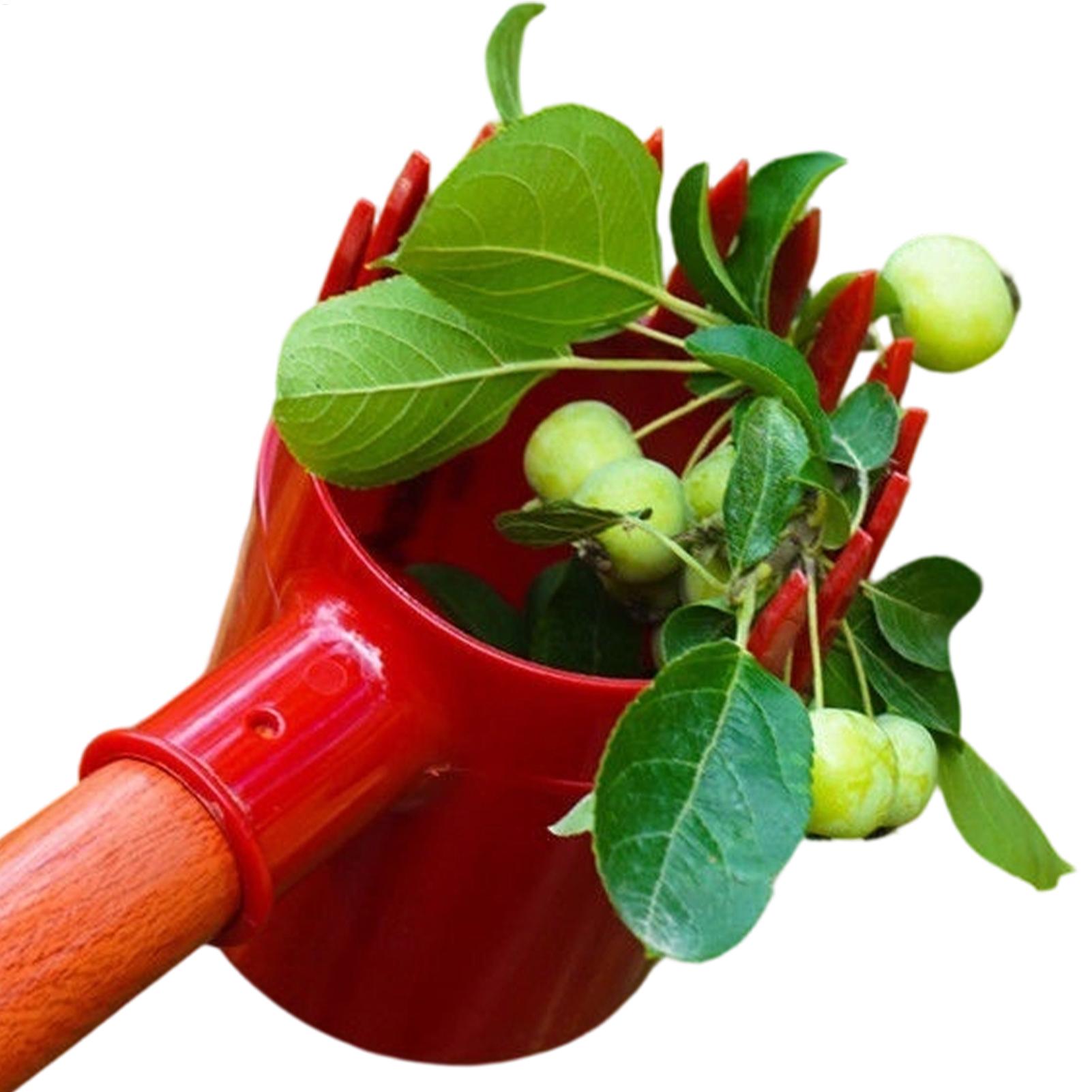 Berry Picker Scoop Yaban Mersi - Farming Tools For Agriculture incelemesi ve fiyatı