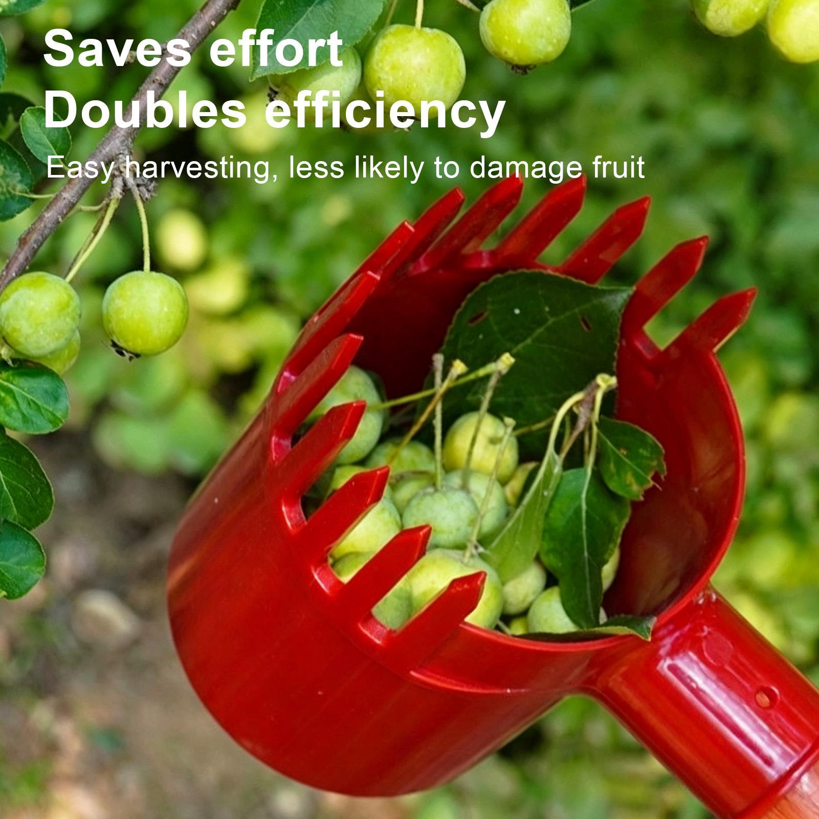 Berry Picker Scoop Yaban Mersi - Farming Tools For Agriculture incelemesi ve fiyatı